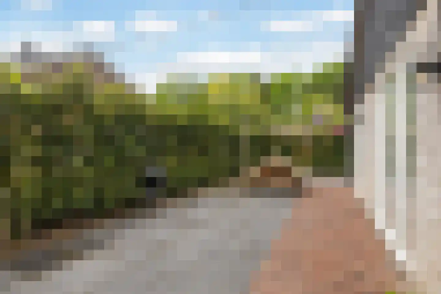 Gentenerf 10 33 Ermelo thumbnail 33