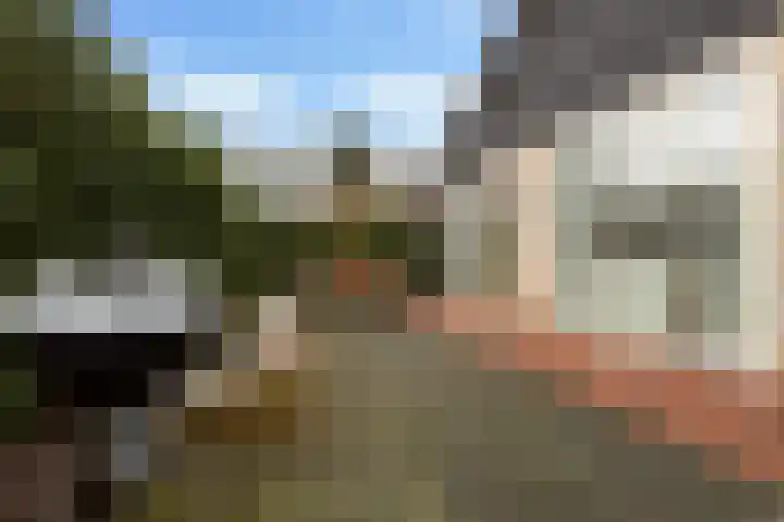 Gentenerf 10 33 Ermelo thumbnail 33