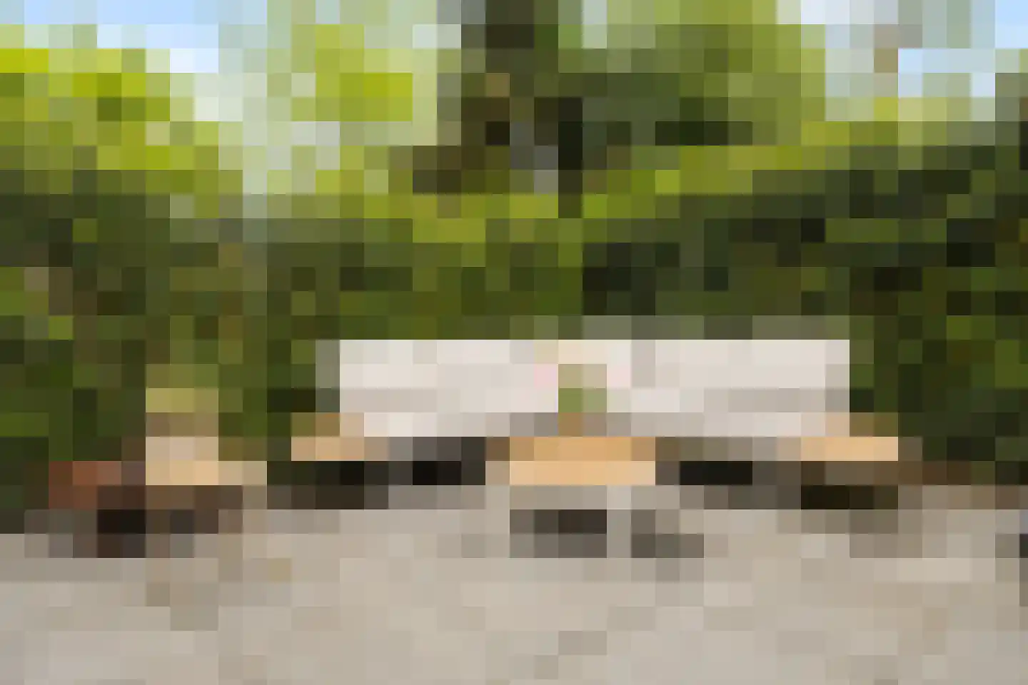 Gentenerf 10 33 Ermelo thumbnail 34