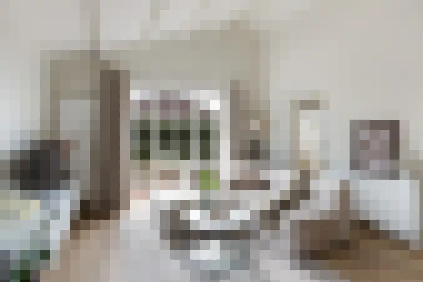 Gentenerf 10 33 Ermelo thumbnail 4