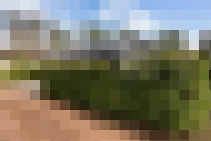 Gentenerf 10 33 Ermelo thumbnail 41