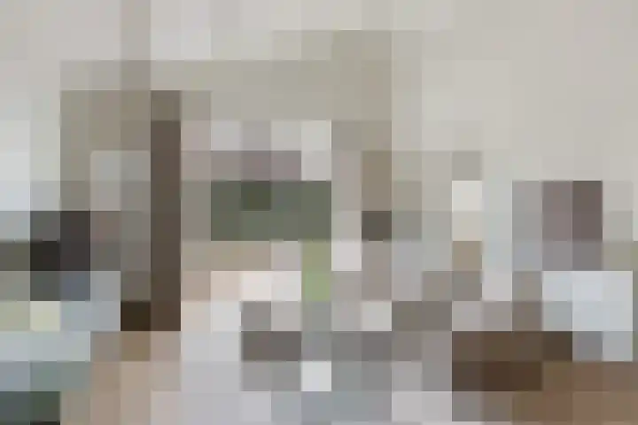 Gentenerf 10 33 Ermelo thumbnail 5