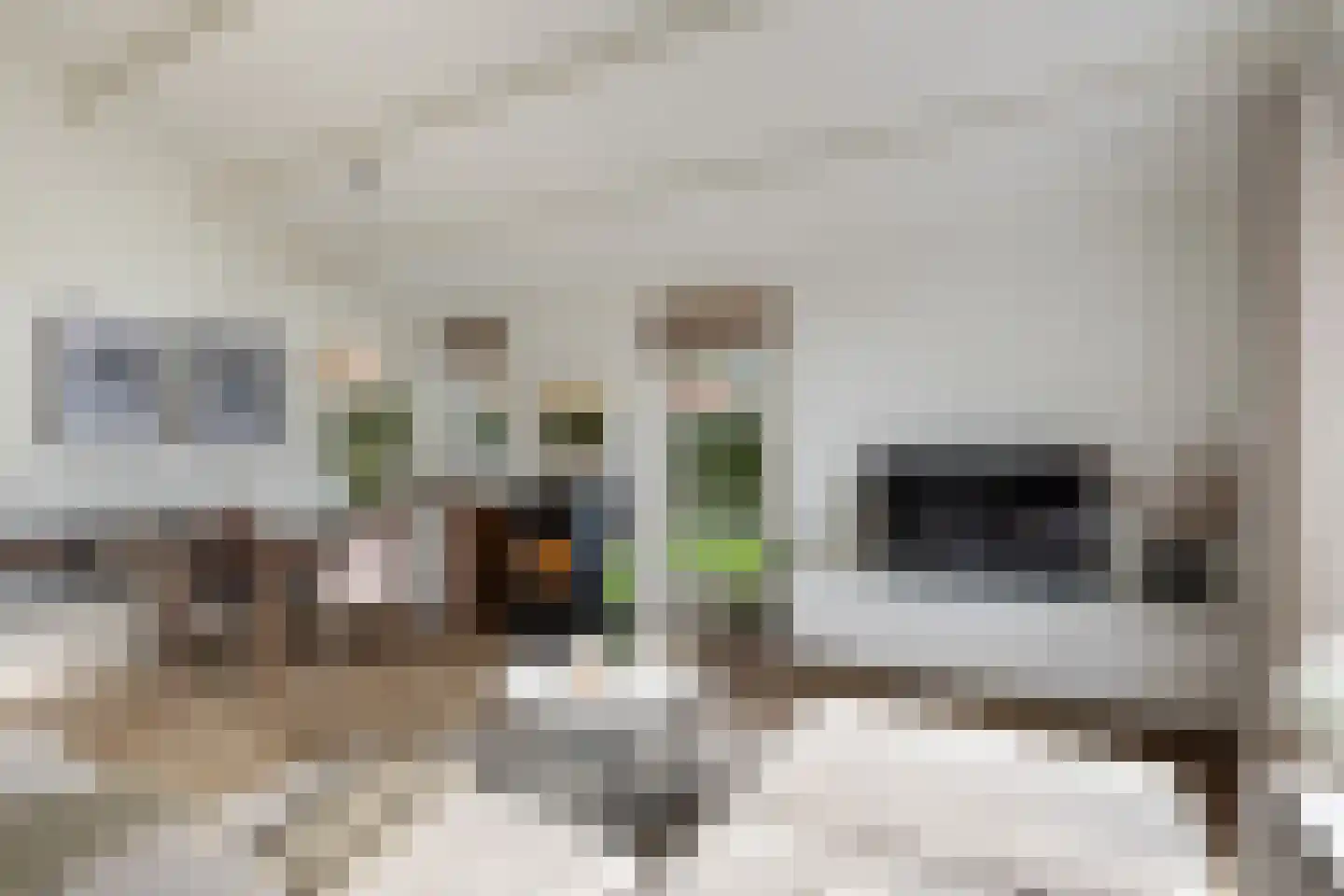 Gentenerf 10 33 Ermelo thumbnail 6
