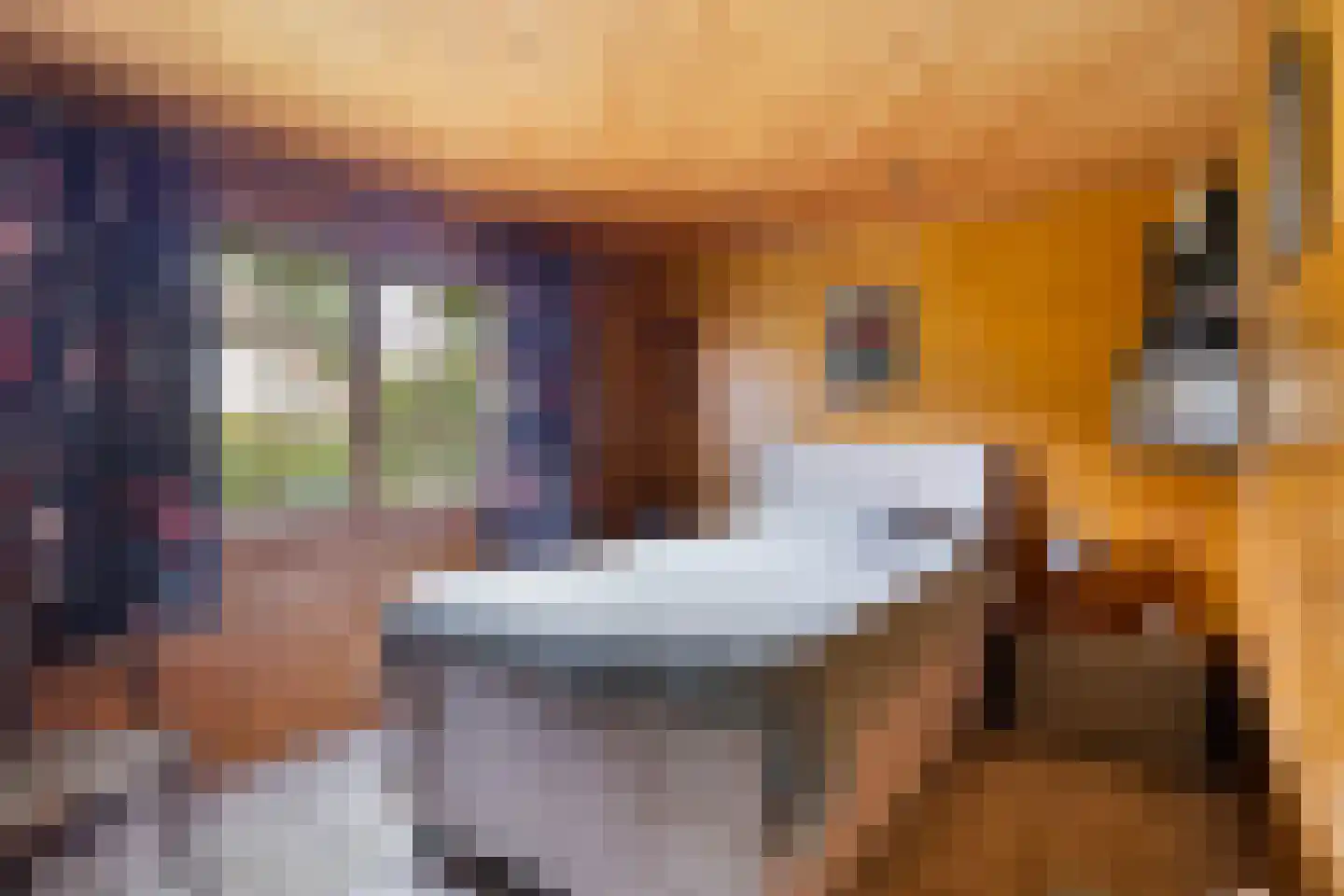 Gentenerf 10 42 Ermelo thumbnail 14