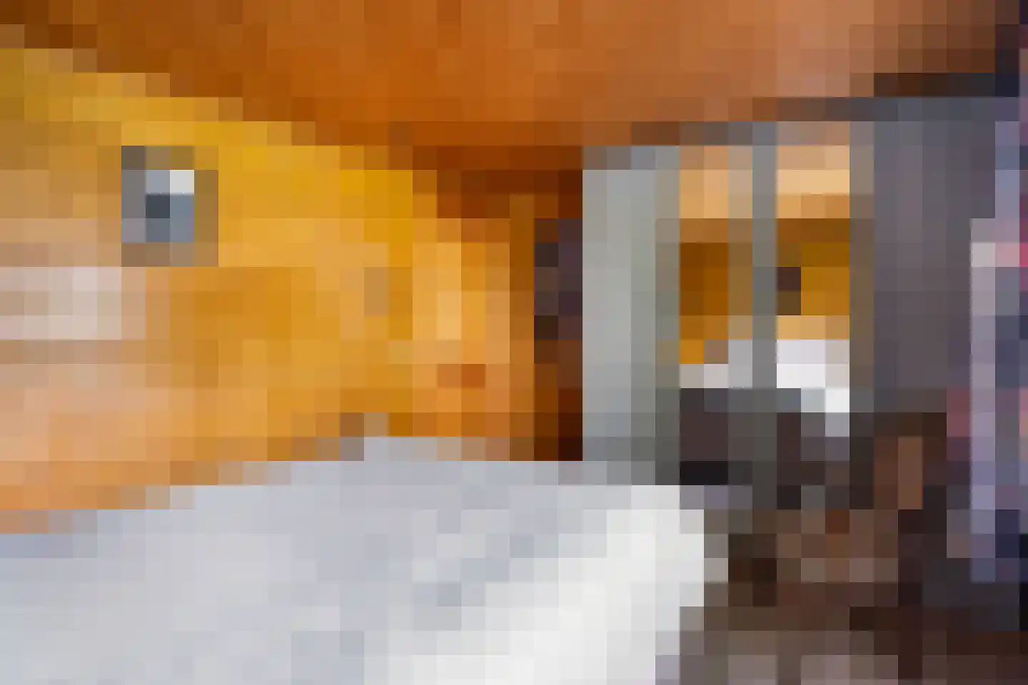 Gentenerf 10 42 Ermelo thumbnail 15