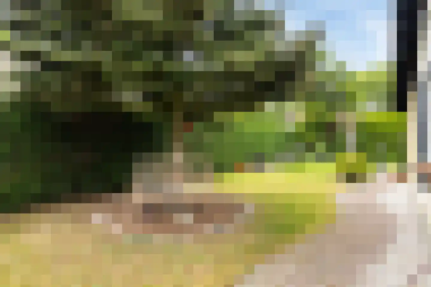 Gentenerf 10 42 Ermelo thumbnail 26