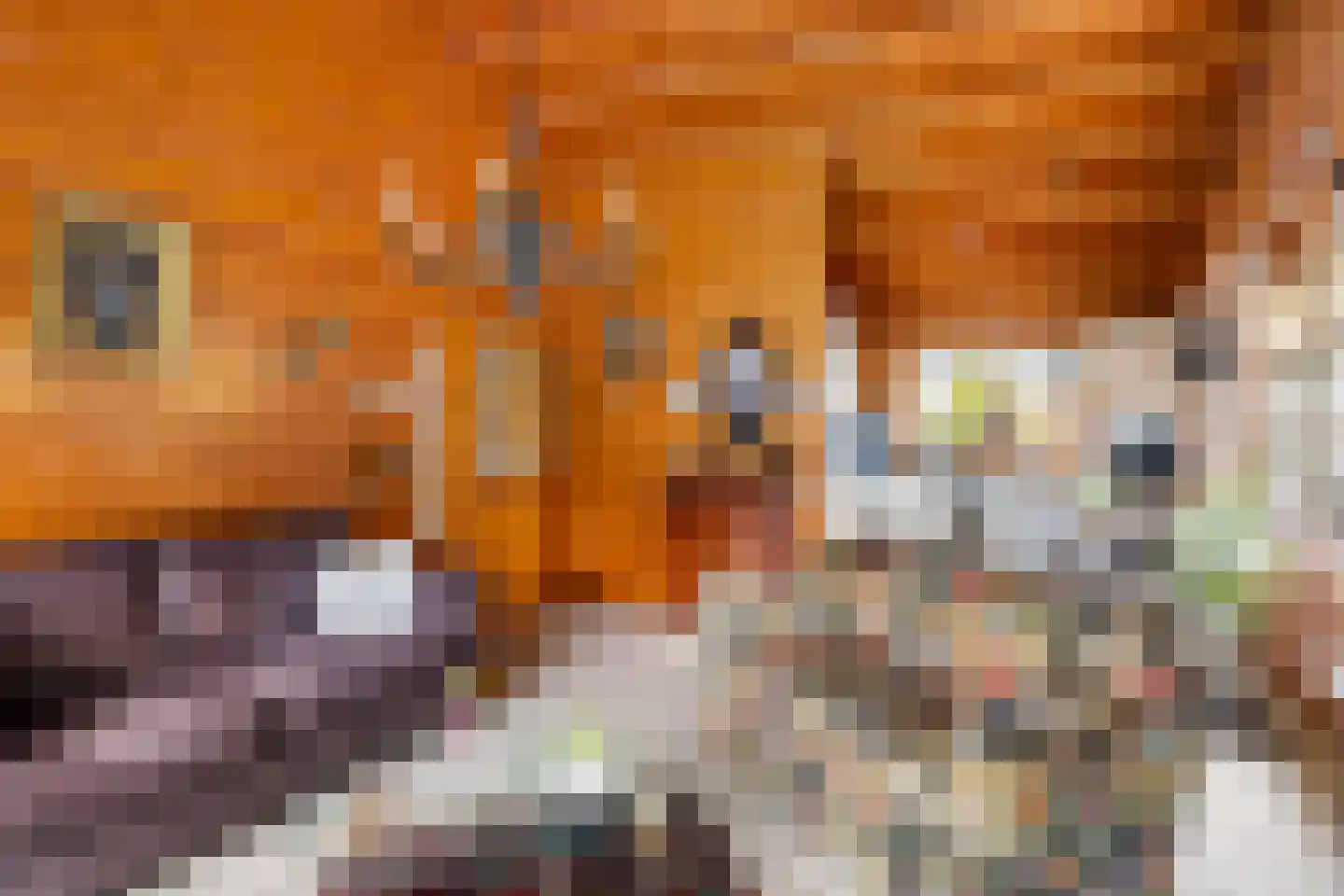 Gentenerf 10 42 Ermelo thumbnail 8
