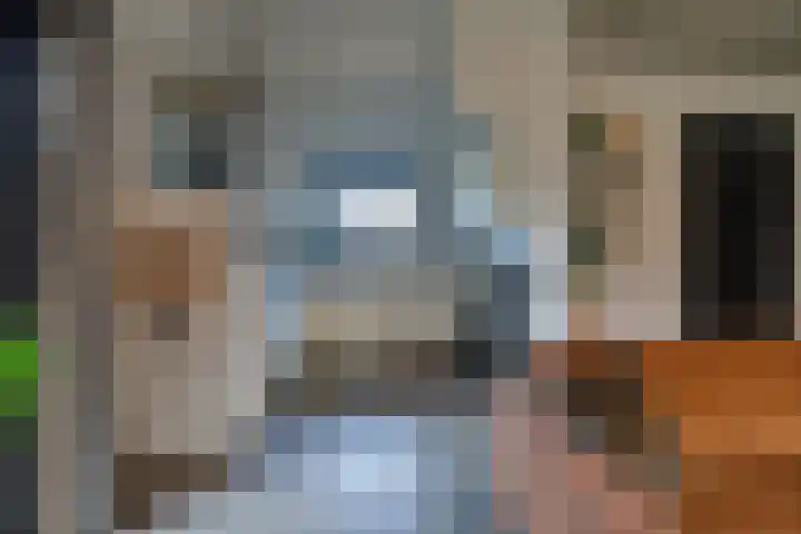 Gentenerf 10 43 Ermelo thumbnail 13