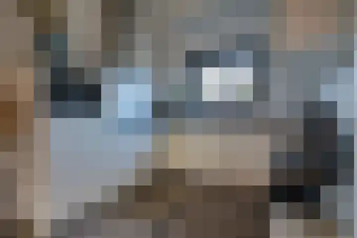 Gentenerf 10 43 Ermelo thumbnail 14