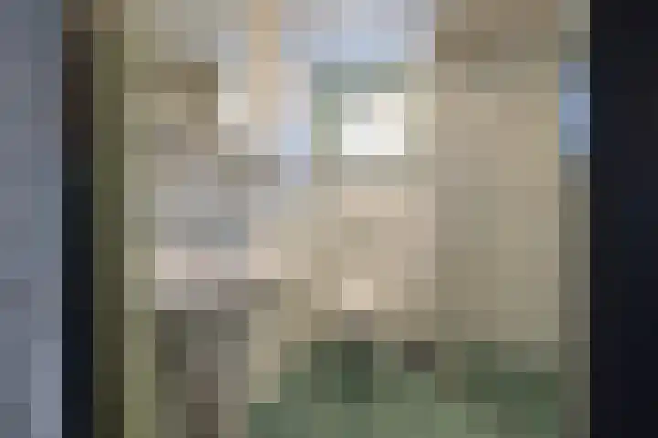 Gentenerf 10 43 Ermelo thumbnail 21