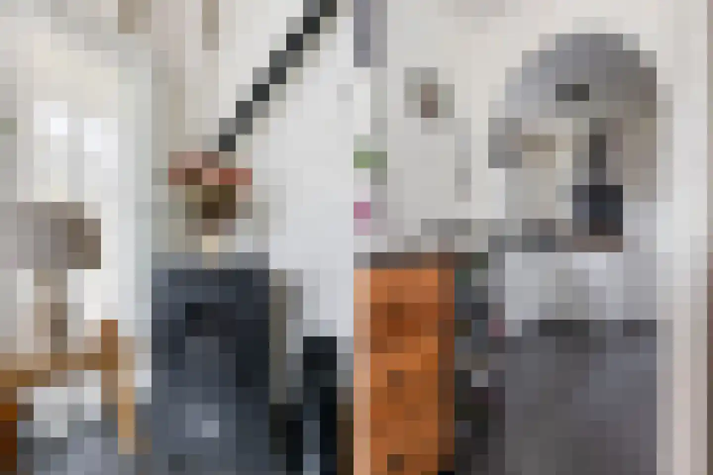 Gentenerf 10 49 Ermelo thumbnail 11