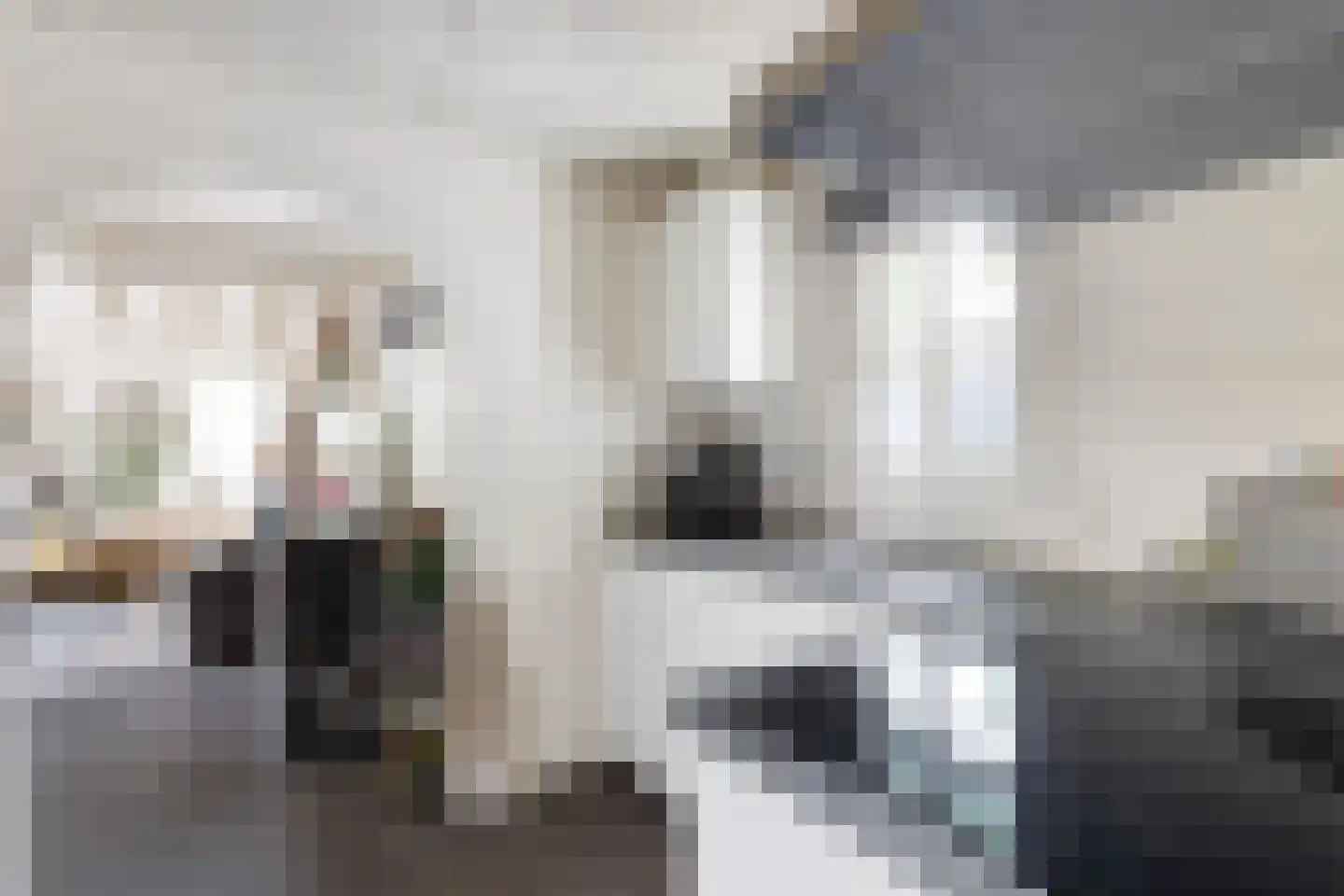 Gentenerf 10 49 Ermelo thumbnail 12