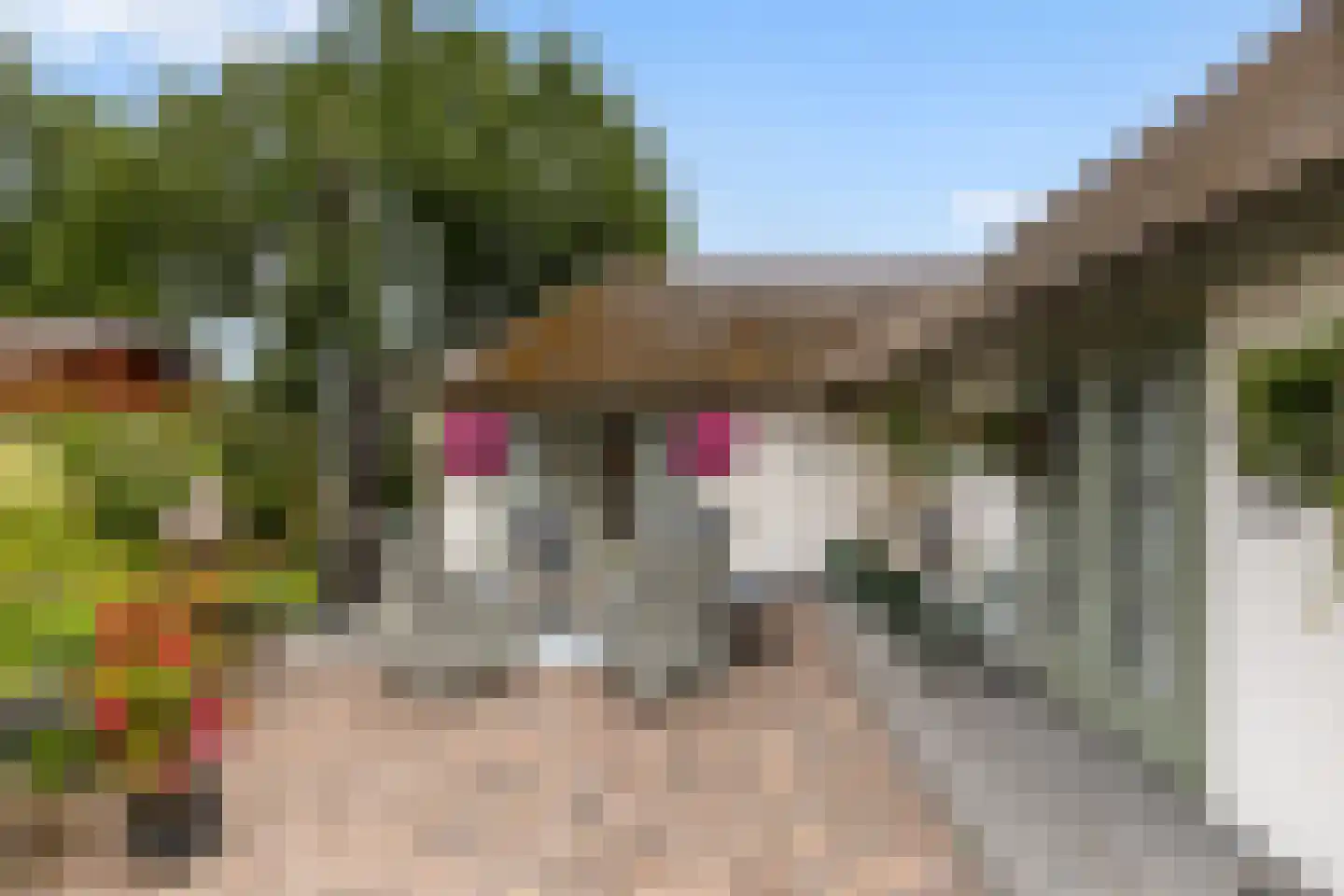 Gentenerf 10 49 Ermelo thumbnail 22