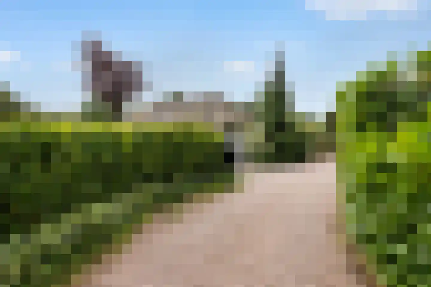 Gentenerf 10 49 Ermelo thumbnail 28