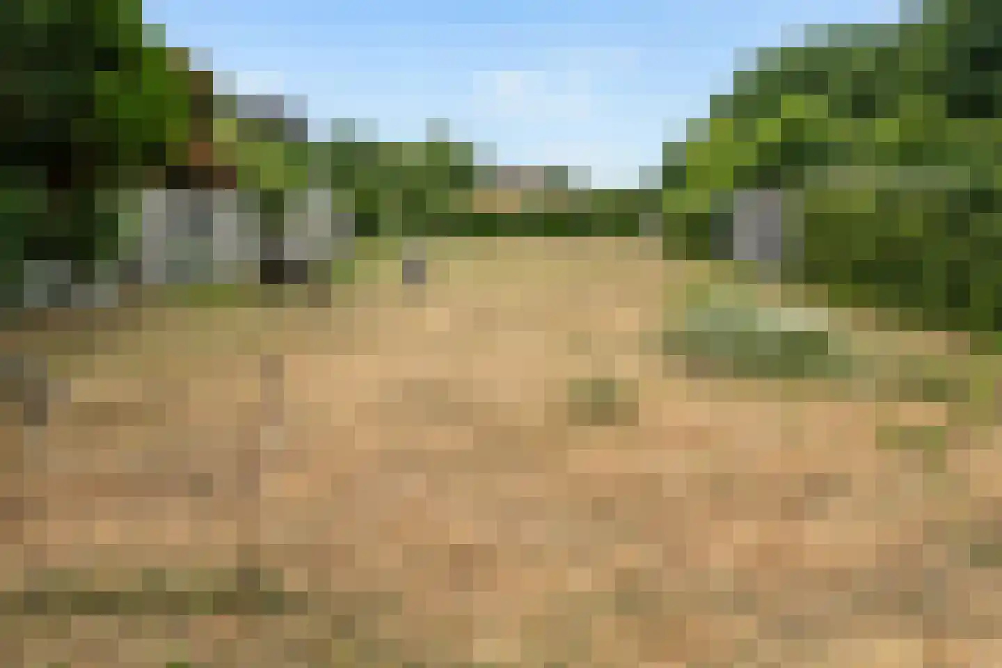 Gentenerf 10 49 Ermelo thumbnail 33