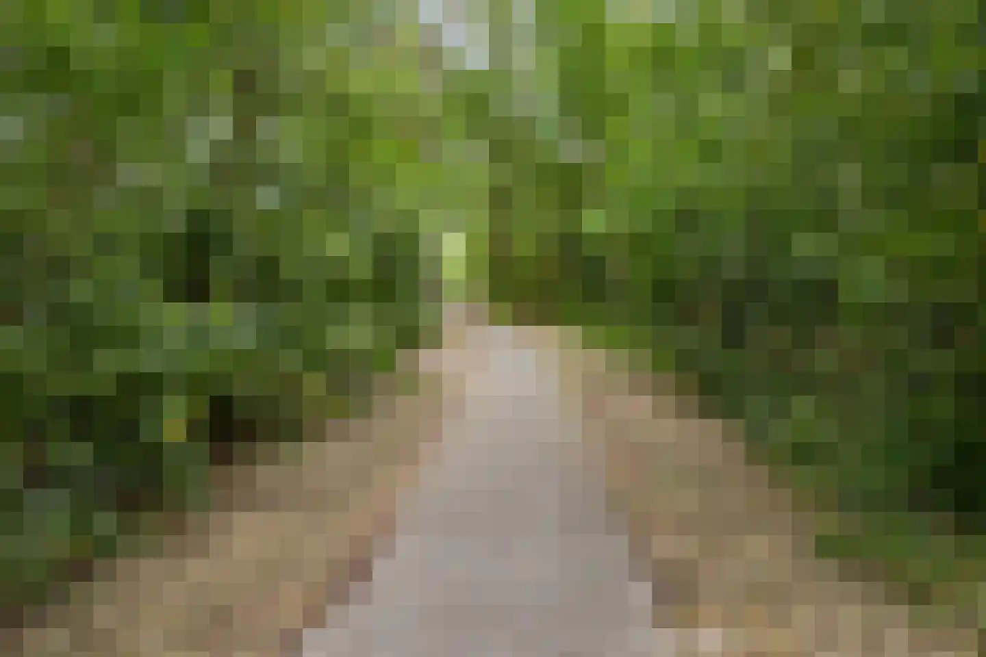 Gentenerf 10 49 Ermelo thumbnail 34