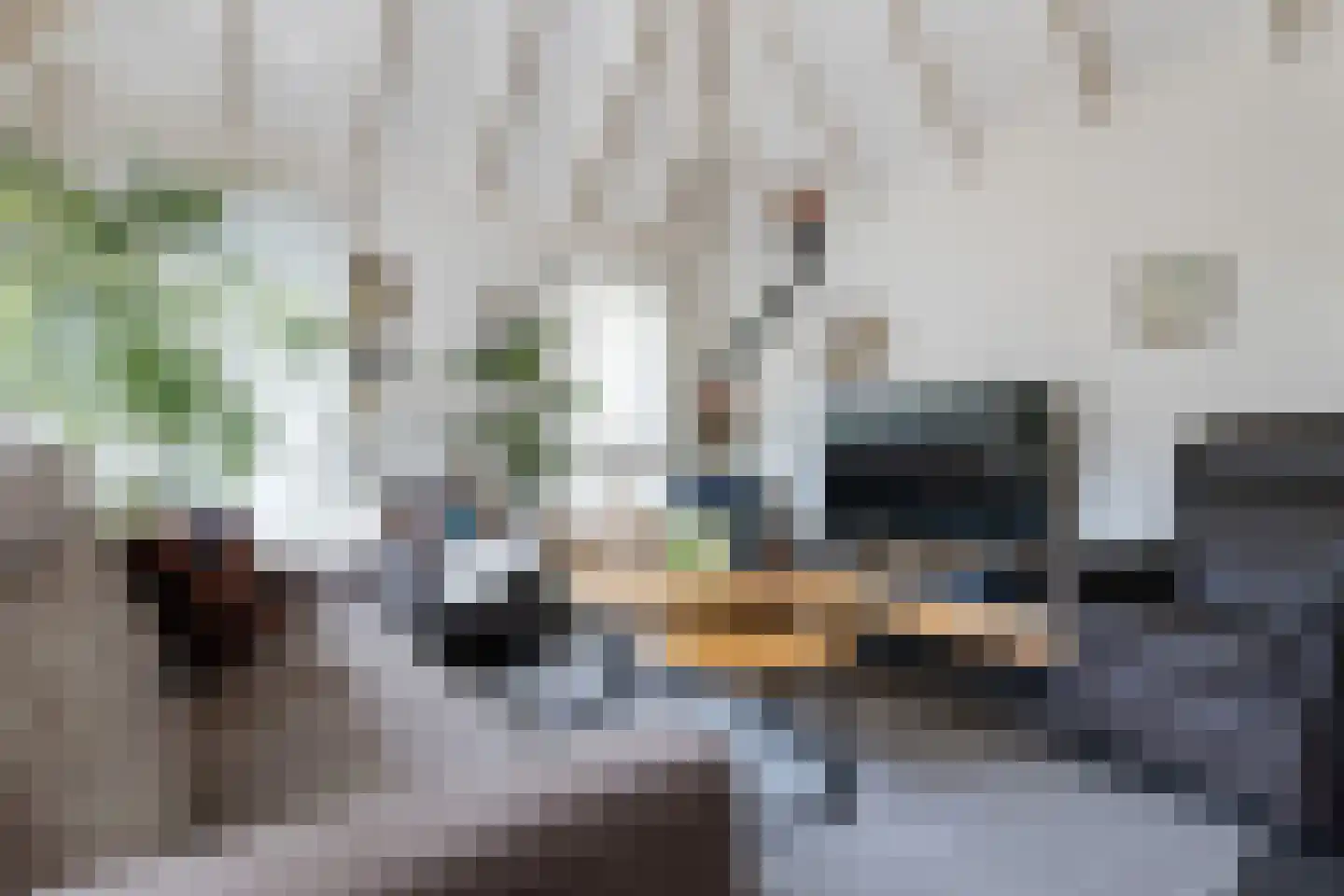 Gentenerf 10 49 Ermelo thumbnail 8