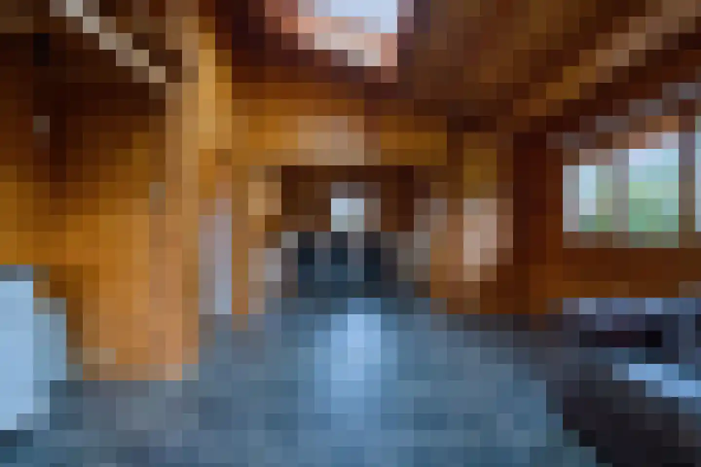 Gentenerf 10 50 Ermelo thumbnail 10