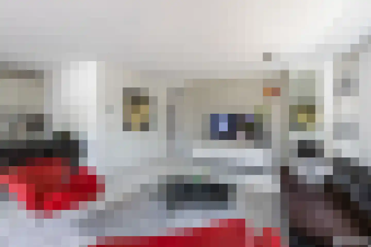 Gentenerf 11 29 Ermelo thumbnail 11