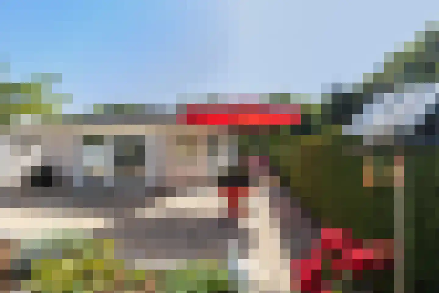Gentenerf 11 29 Ermelo thumbnail 22