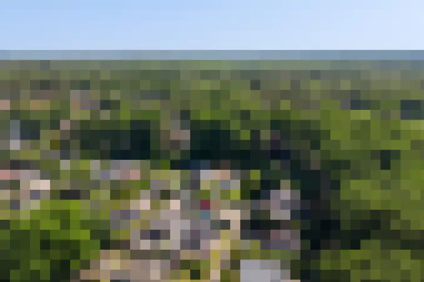Gentenerf 11 29 Ermelo thumbnail 28