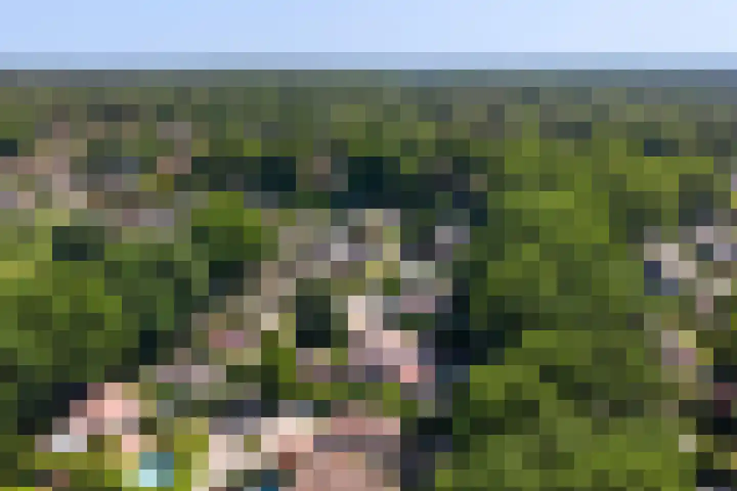 Gentenerf 11 29 Ermelo thumbnail 29