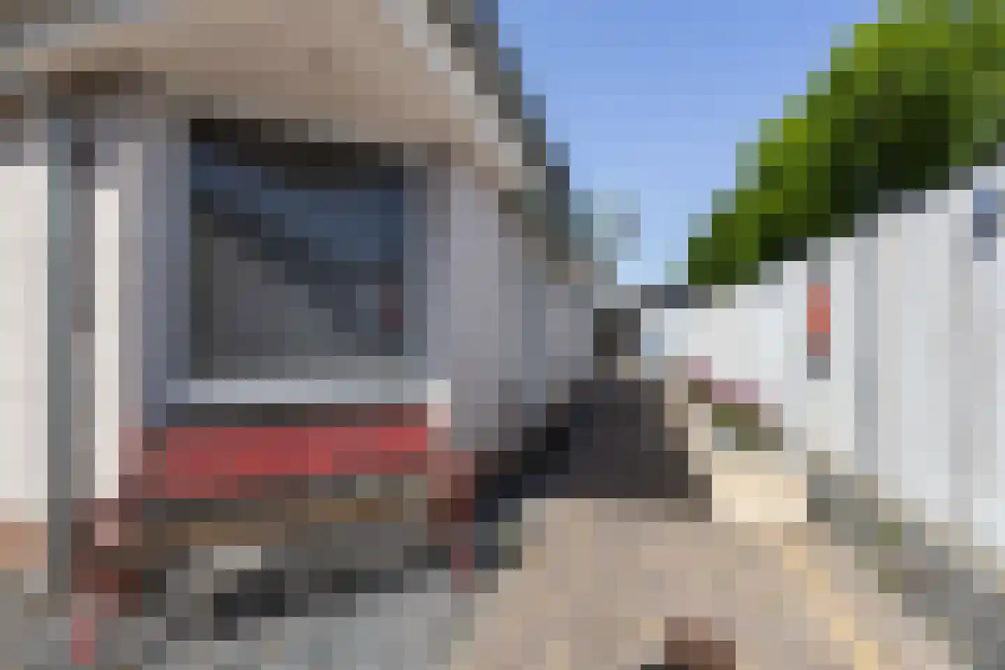 Gentenerf 11 29 Ermelo thumbnail 6