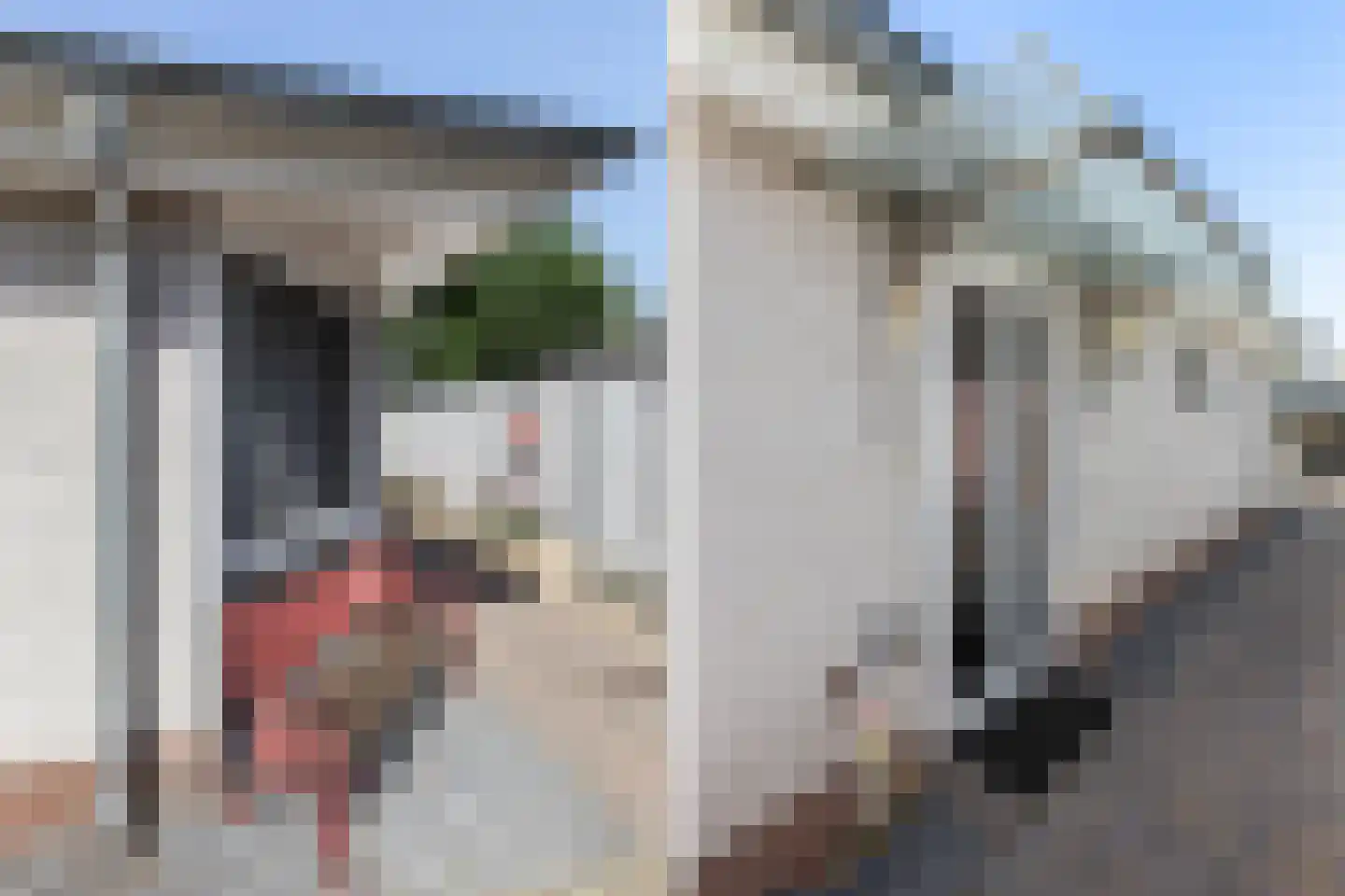 Gentenerf 11 29 Ermelo thumbnail 8
