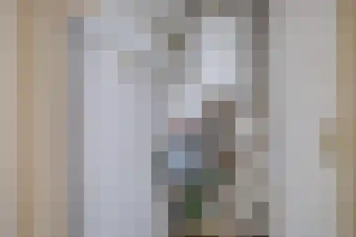 Gentenerf 11 47 Ermelo thumbnail 19