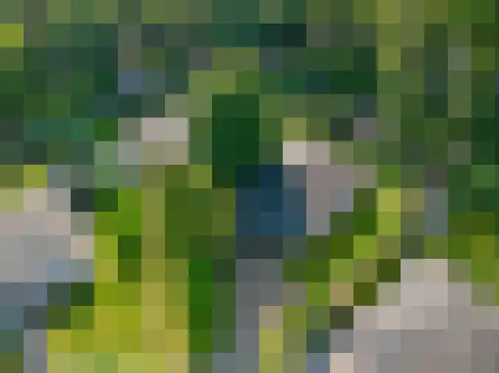 Gentenerf 11 47 Ermelo thumbnail 4