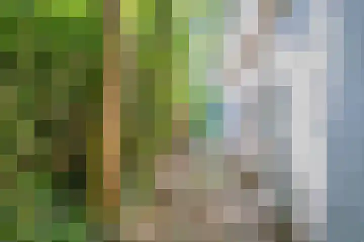 Gentenerf 11 47 Ermelo thumbnail 6