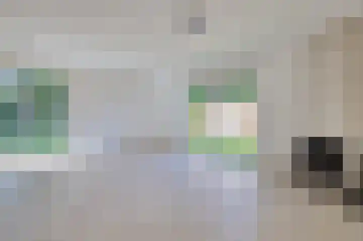 Gentenerf 11 47 Ermelo thumbnail 8