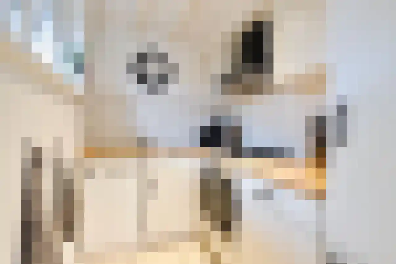 Gentenerf 14 12 Ermelo thumbnail 10