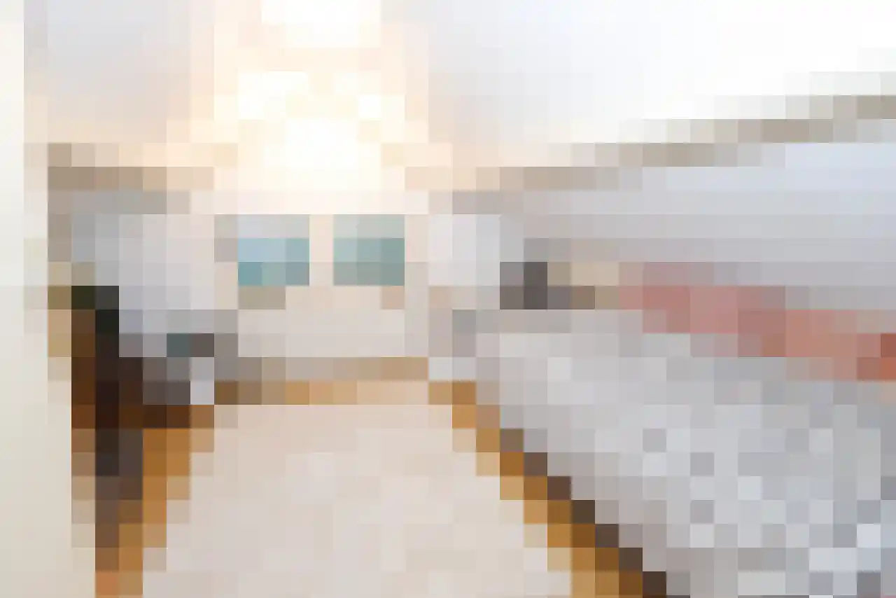 Gentenerf 14 12 Ermelo thumbnail 21