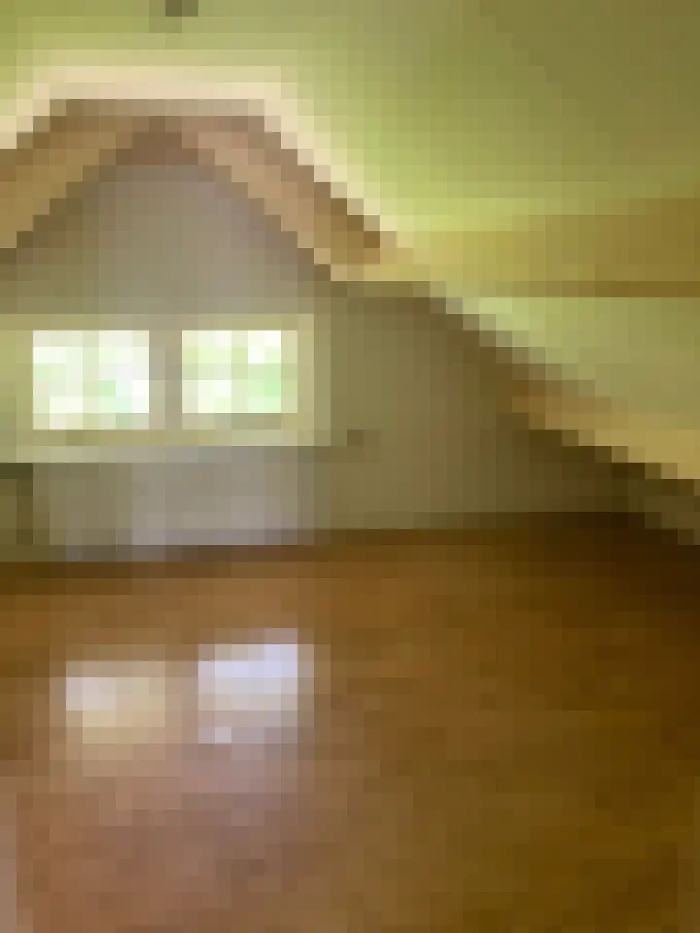 Gentenerf 14 12 Ermelo thumbnail 22