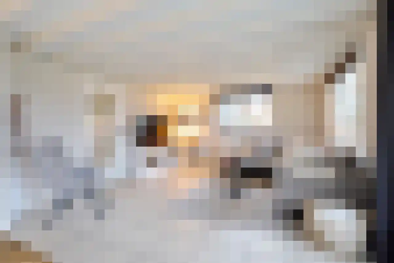 Gentenerf 14 12 Ermelo thumbnail 5