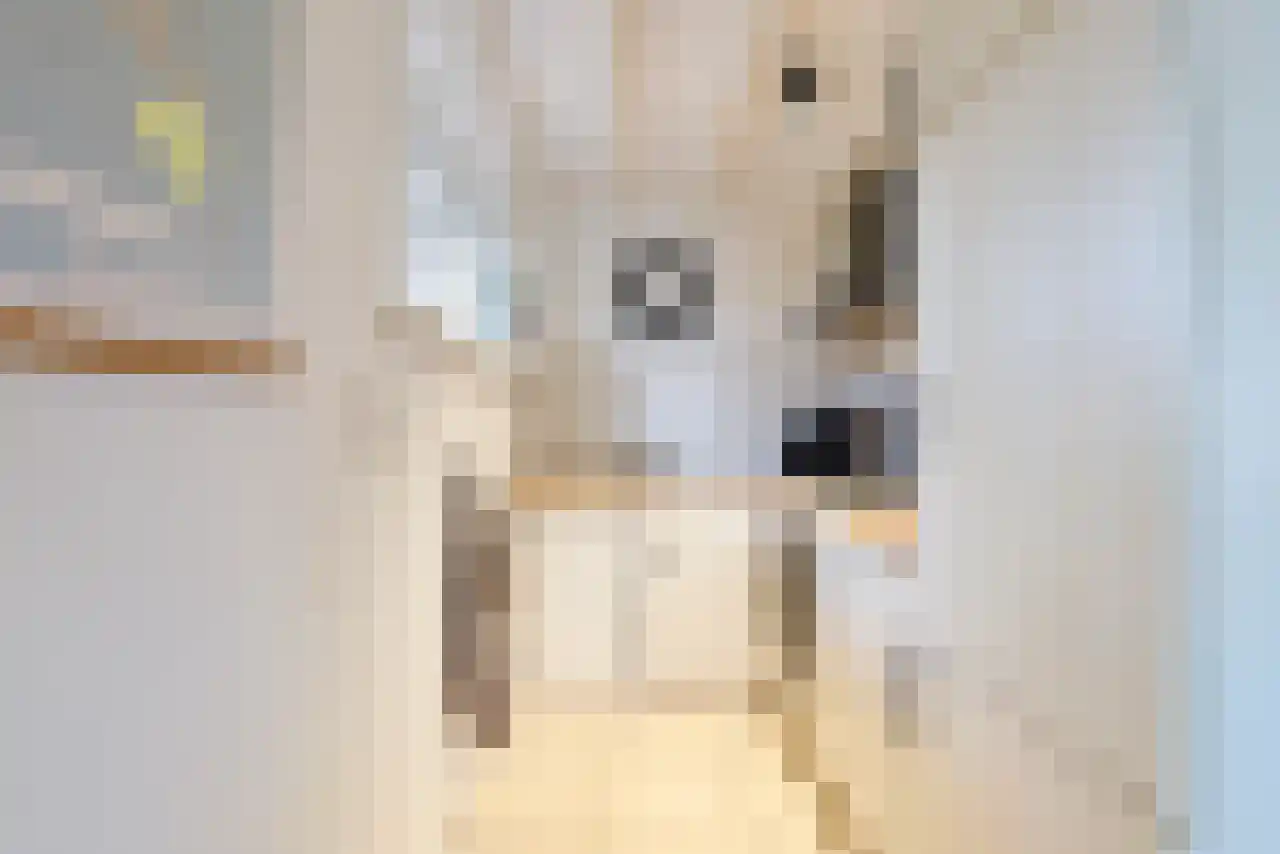 Gentenerf 14 12 Ermelo thumbnail 9