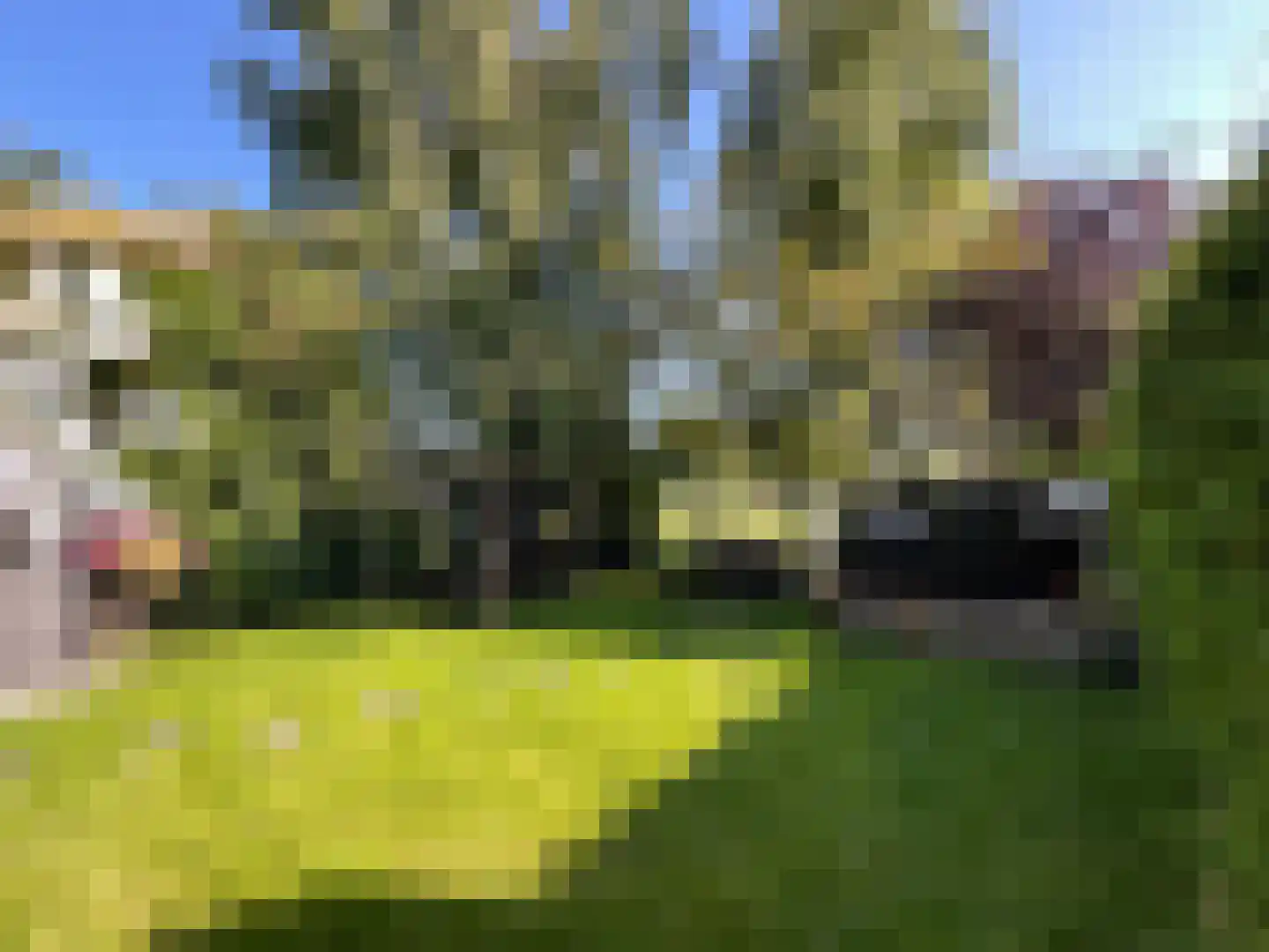 Gentenerf 9 16 Ermelo thumbnail 17