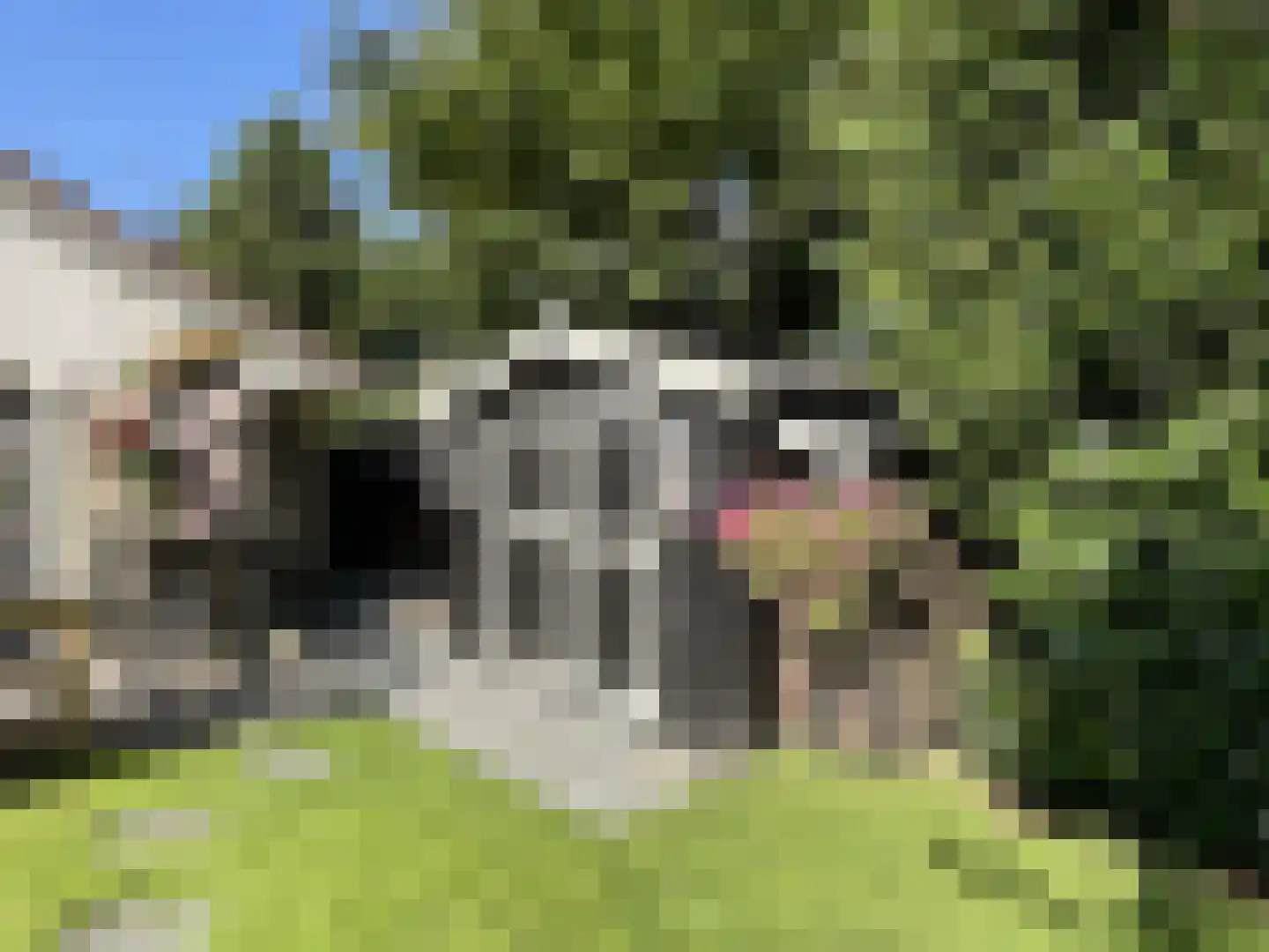 Gentenerf 9 16 Ermelo thumbnail 22