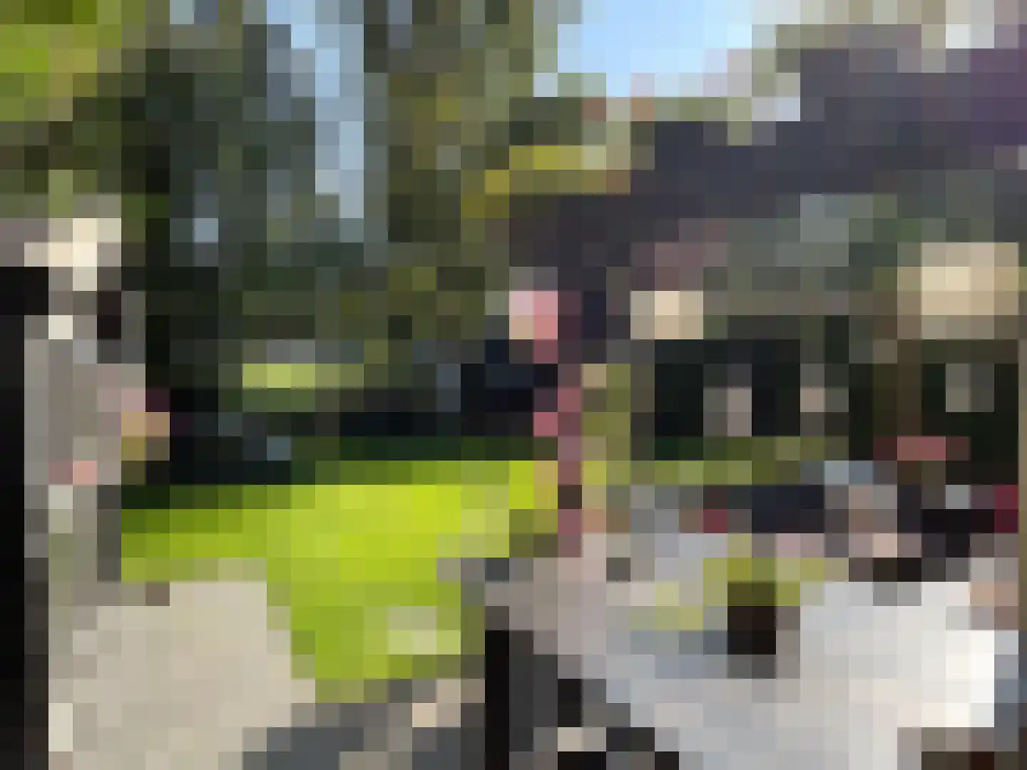 Gentenerf 9 16 Ermelo thumbnail 23