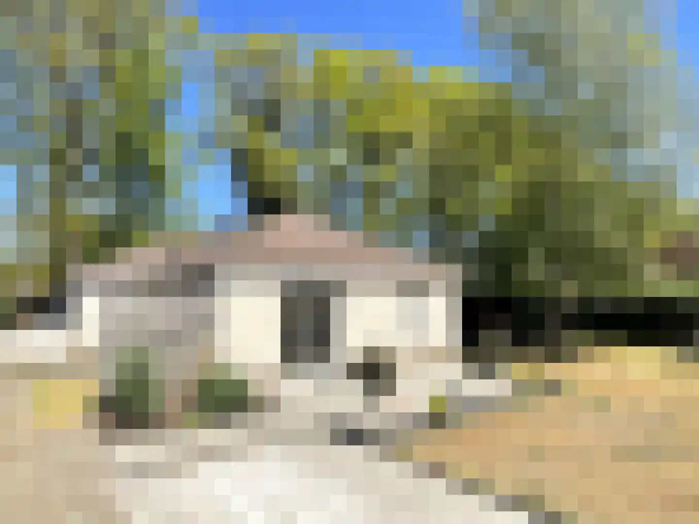 Gentenerf 9 30A Ermelo thumbnail 12