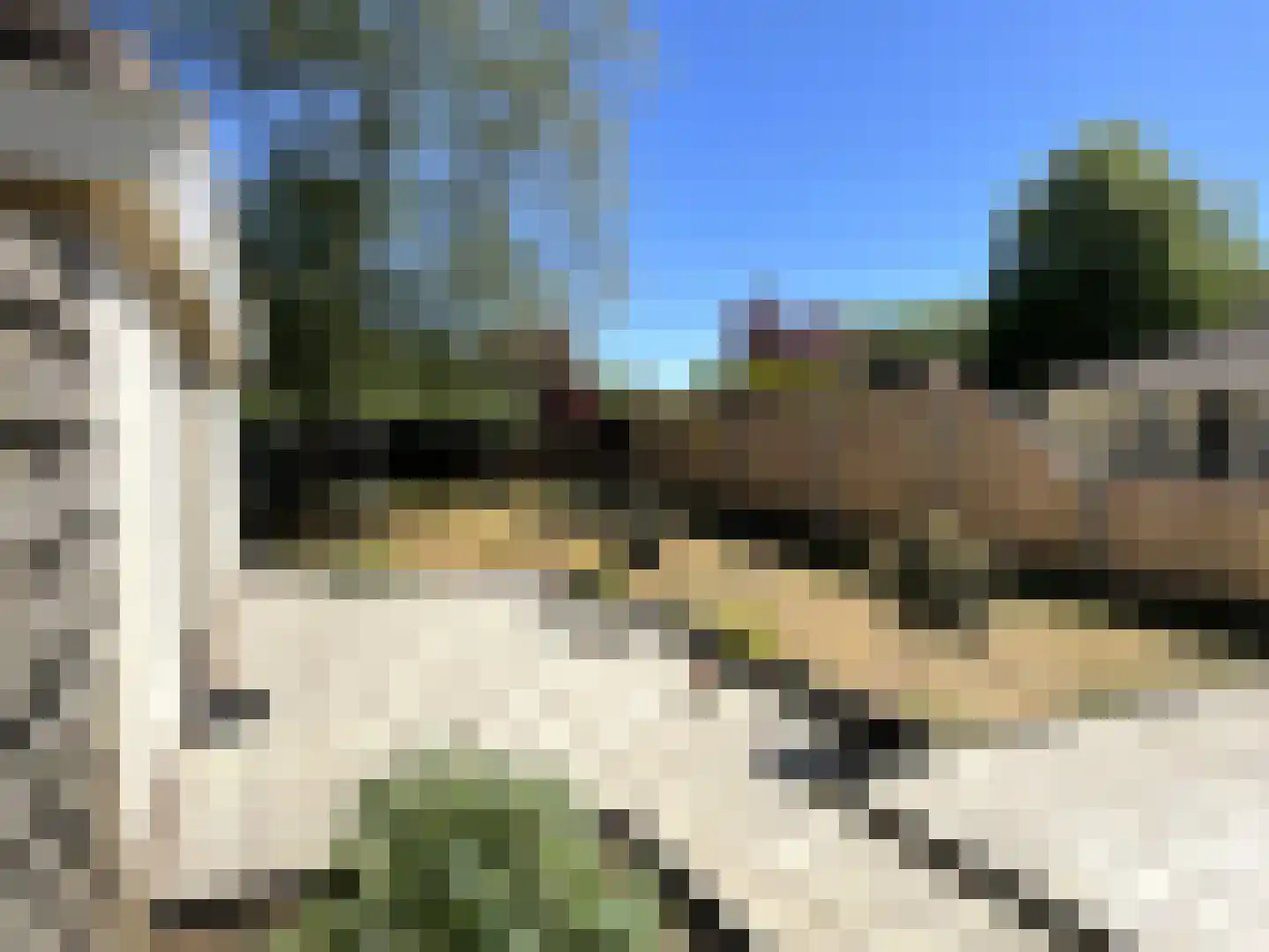 Gentenerf 9 30A Ermelo thumbnail 13