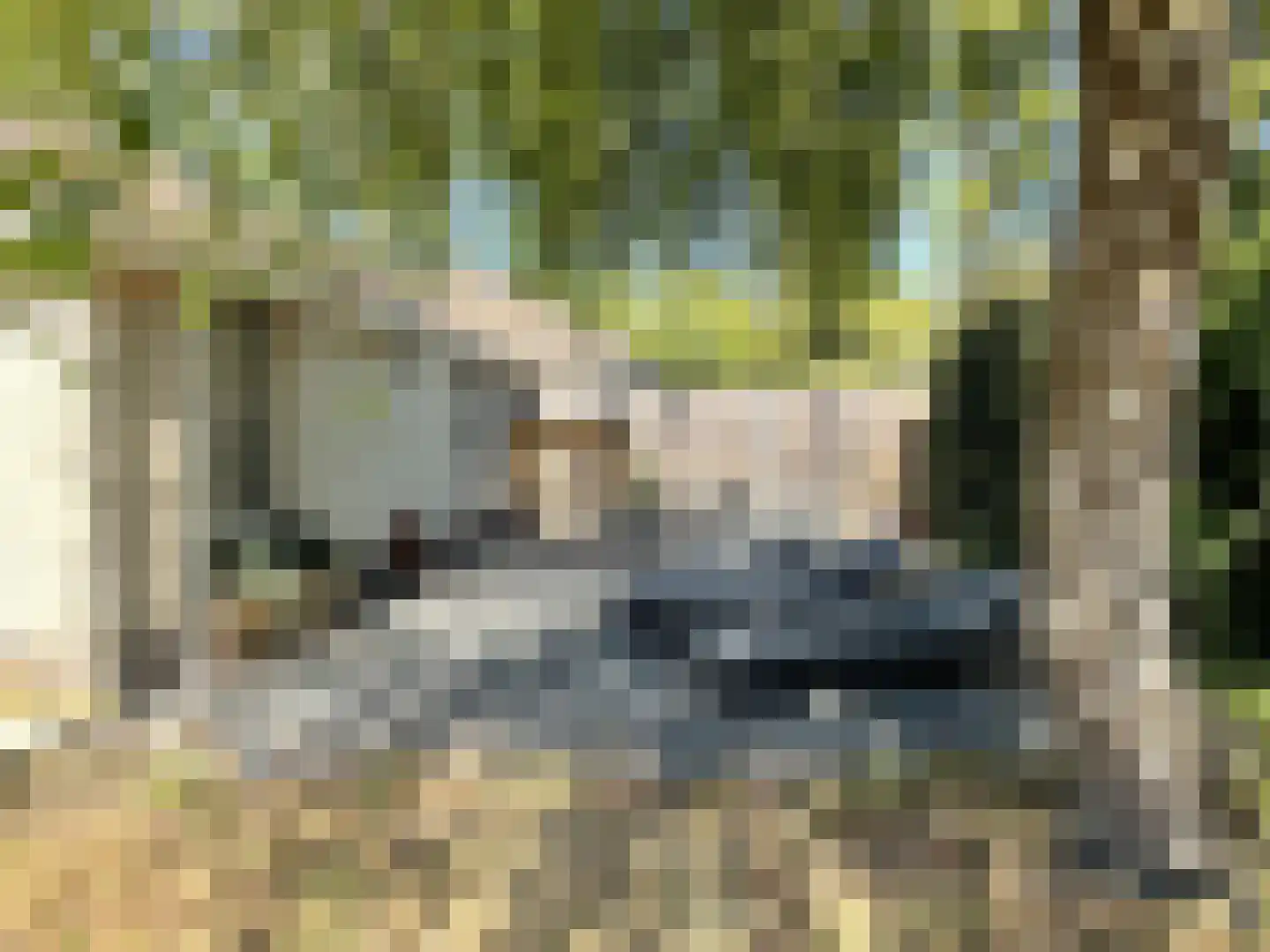 Gentenerf 9 30A Ermelo thumbnail 14