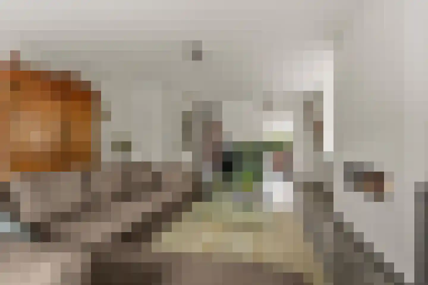 Genthoek 13 Leusden thumbnail 11