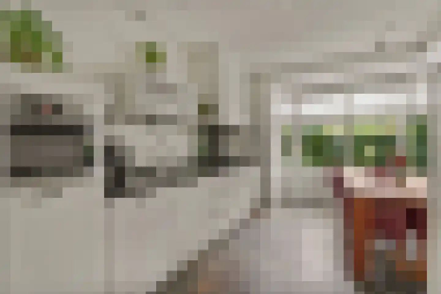 Genthoek 13 Leusden thumbnail 13