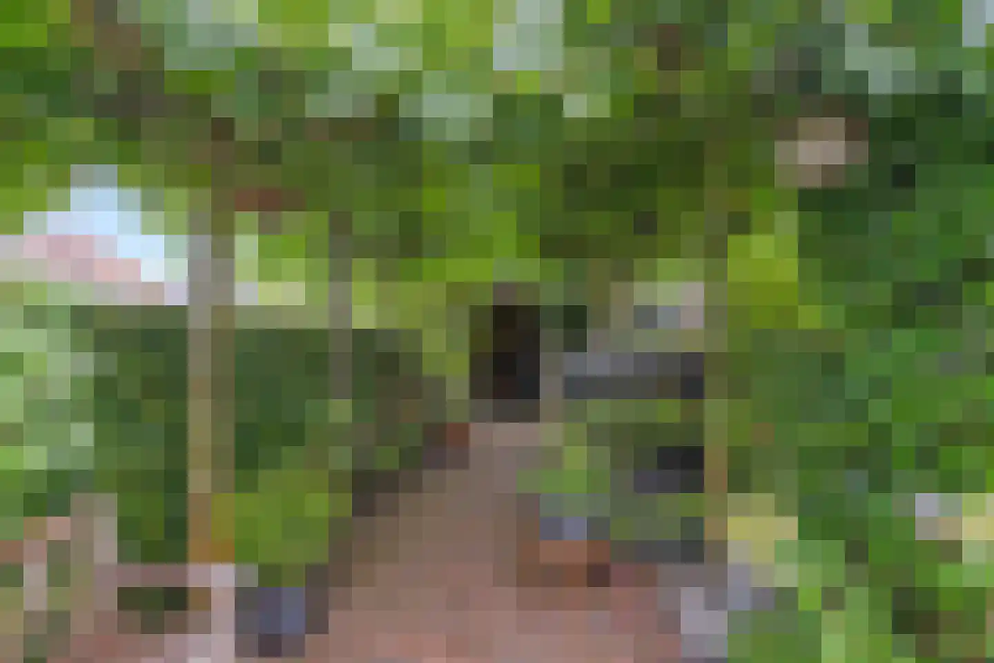 Genthoek 13 Leusden thumbnail 18