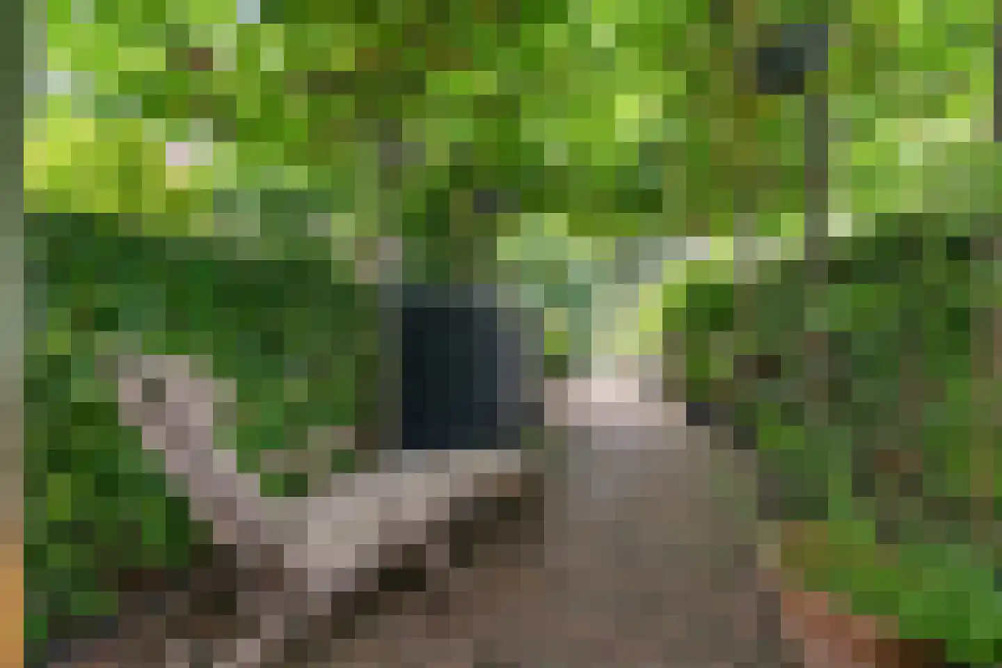 Genthoek 13 Leusden thumbnail 19