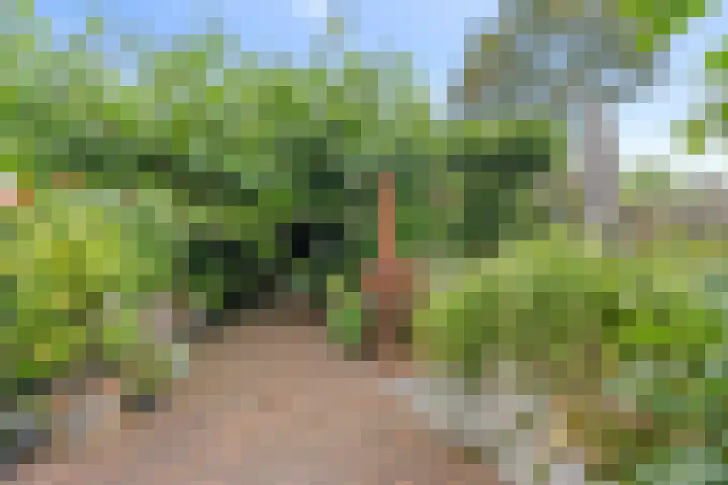 Genthoek 13 Leusden thumbnail 20