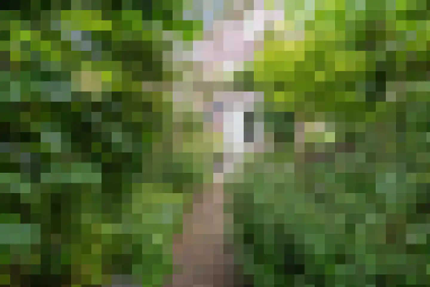 Genthoek 13 Leusden thumbnail 21