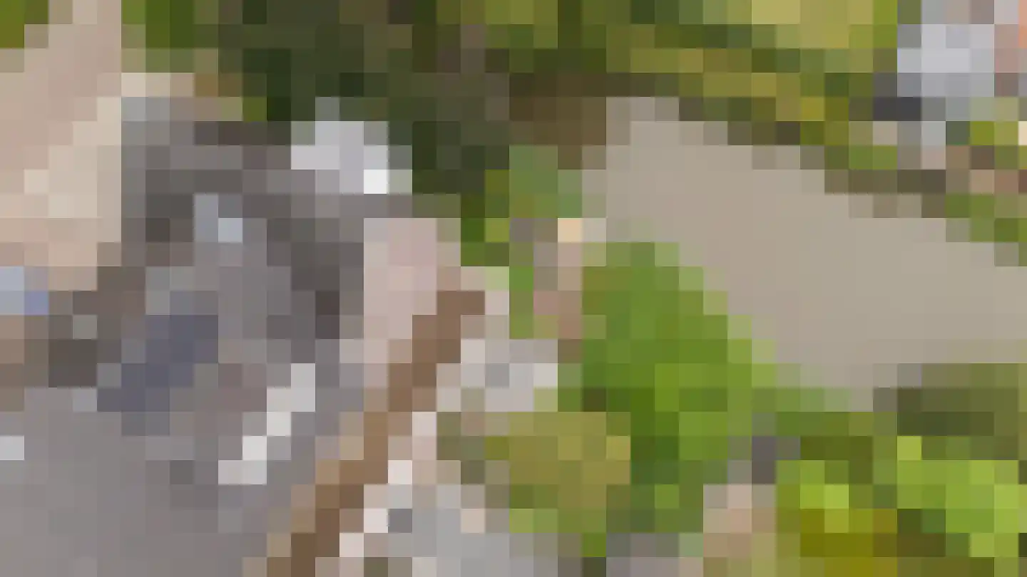 Genthoek 13 Leusden thumbnail 24